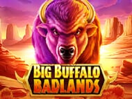 Big Buffalo Badlands